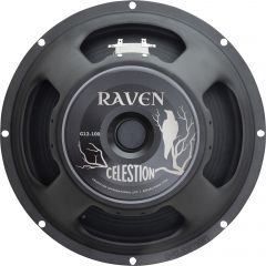 Celestion 31 CM 100W 8ohms - Vue 1